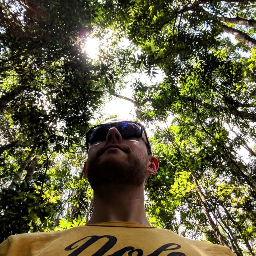 Daniel pictured from below with a rainforest canopy above.