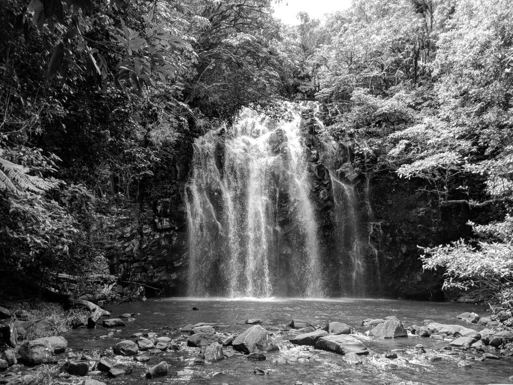 A waterfall in Queensland, Australia.